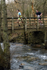 Hamsterley Forest Run
